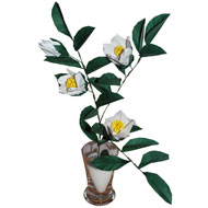 Origami Pseudocamellia