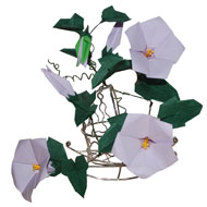 Origami Morning Glory
