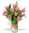 Pink Tulips
