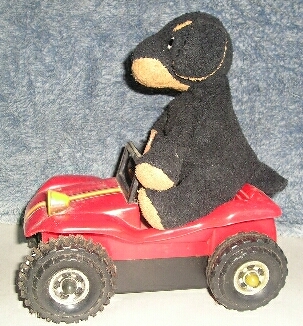jeep ride