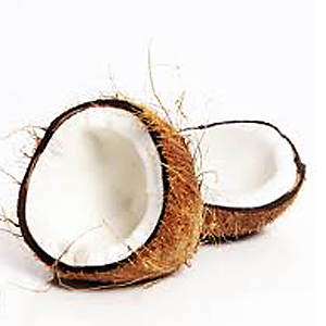 Coconut