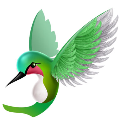 Hummingbird
