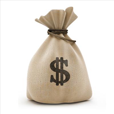Money bags