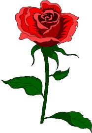 flower 2