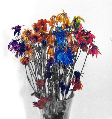 Dead Flowers