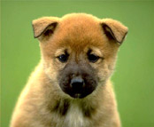 cuteeeeee