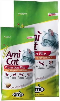 ami cat