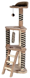 cat tree