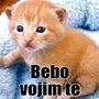 Volim te...