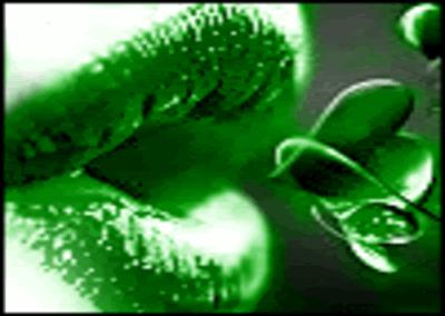 poljubac za tebe...♥..