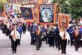 An Orange Walk