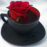 Murky Tea