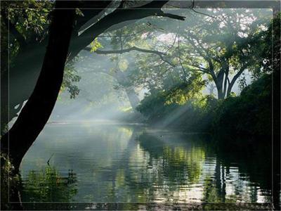 Backwaters
