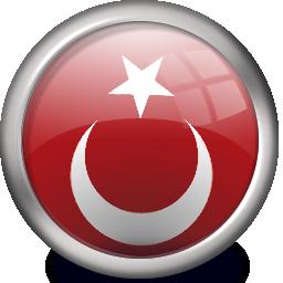 Türk Bayrağı 5