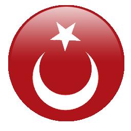 Türk Bayrağı 3
