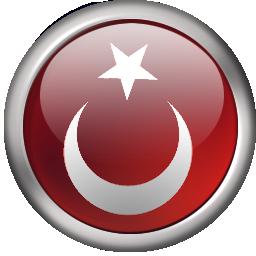 Türk Bayrağı 21