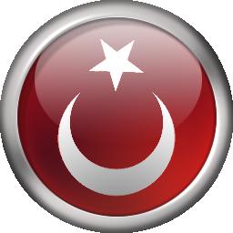 Türk Bayrağı 19