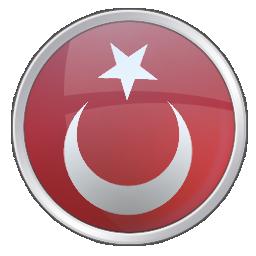 Türk Bayrağı 2