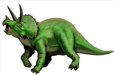 triceratops