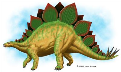 stegosaurus