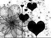 flower &  hearts