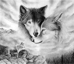 2 wolves