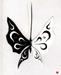black or white butterfly
