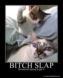 Kitty bitschslap 1