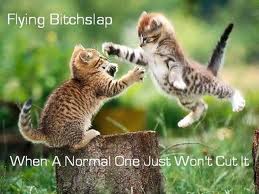 Flying Kitty Bitchslap