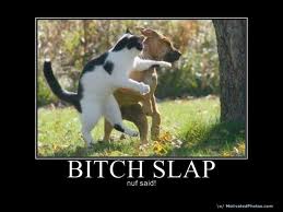 Kitty Bitchslap II