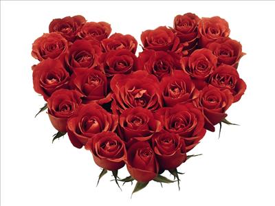 Red Roses