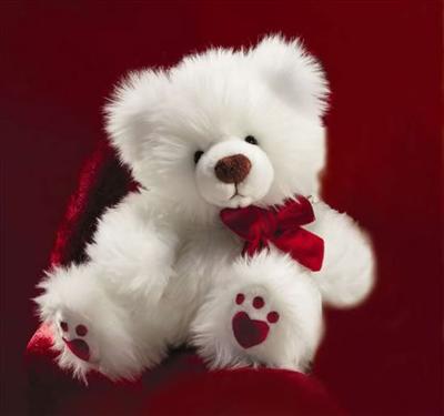 Love Teddy Bear