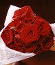 Red rose1