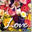 Love.