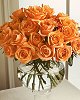 orange roses. 