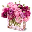 pink petals.