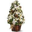 christmas lily tree.