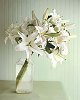 White lily.