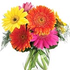 birthday flowers