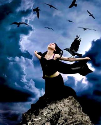 Flight