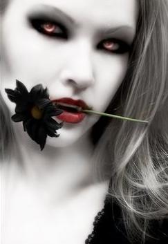 Vamp Vixen