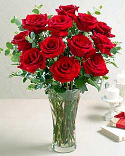 Red Rose Flower