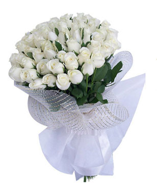 White Rose Flower