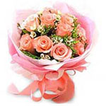 Pink Rose Flower