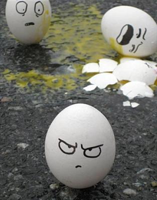 eggs