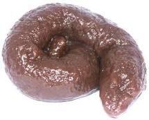 poo