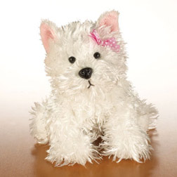 Webkinz