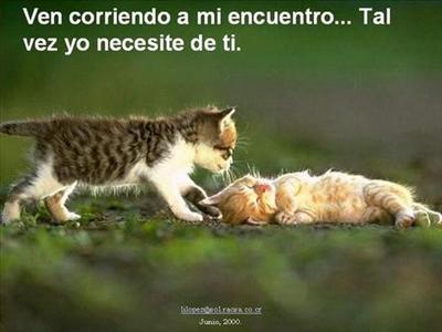 tal vez te necesite