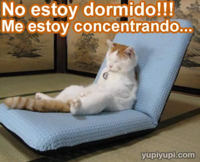 necesitho mucha con centracion