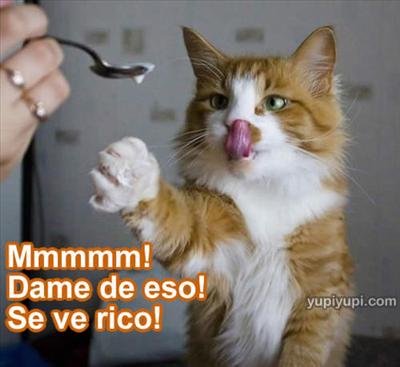 dame